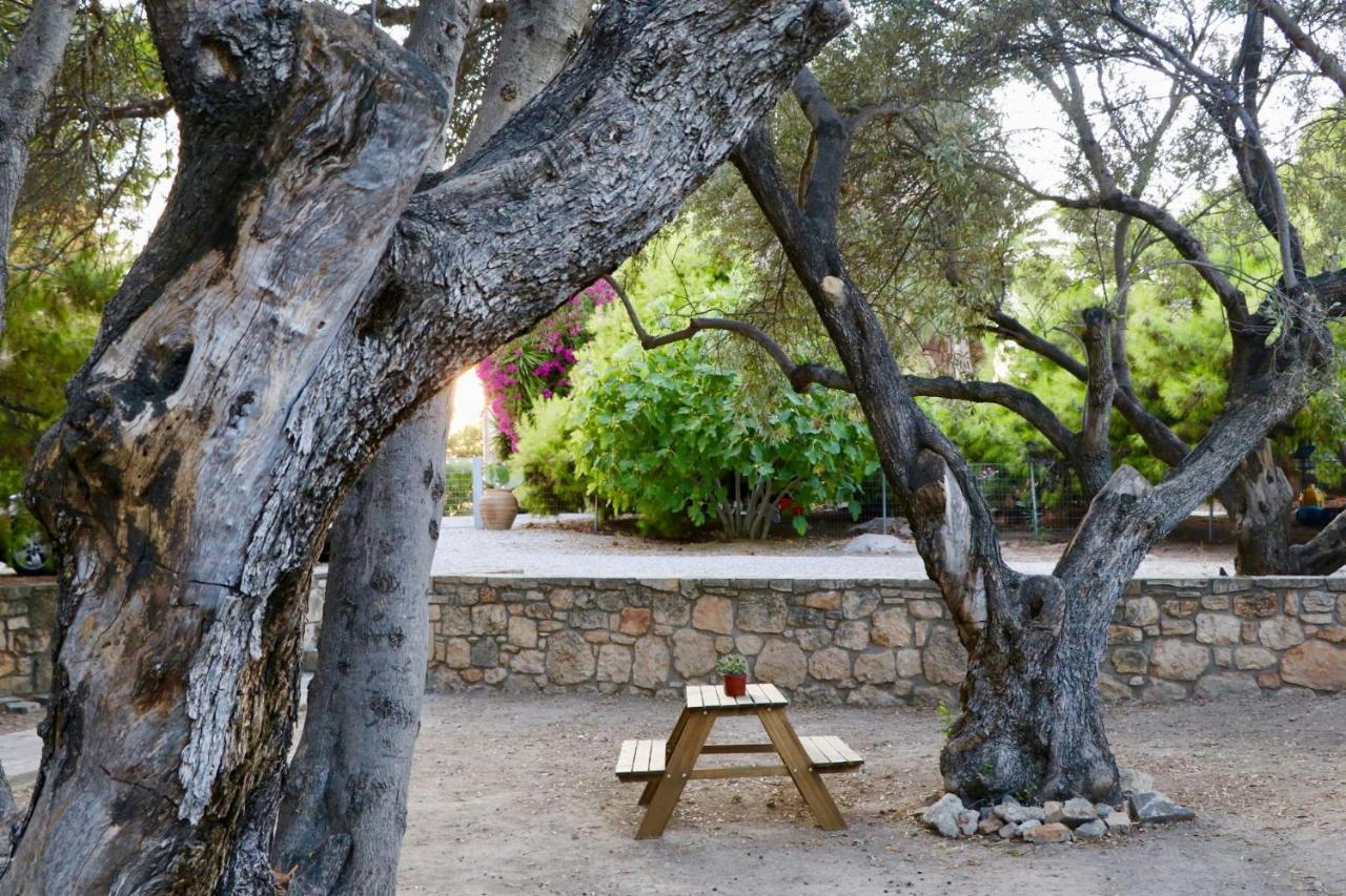 Pyrgos Ralli Estate Guesthouse Aegina Buitenkant foto