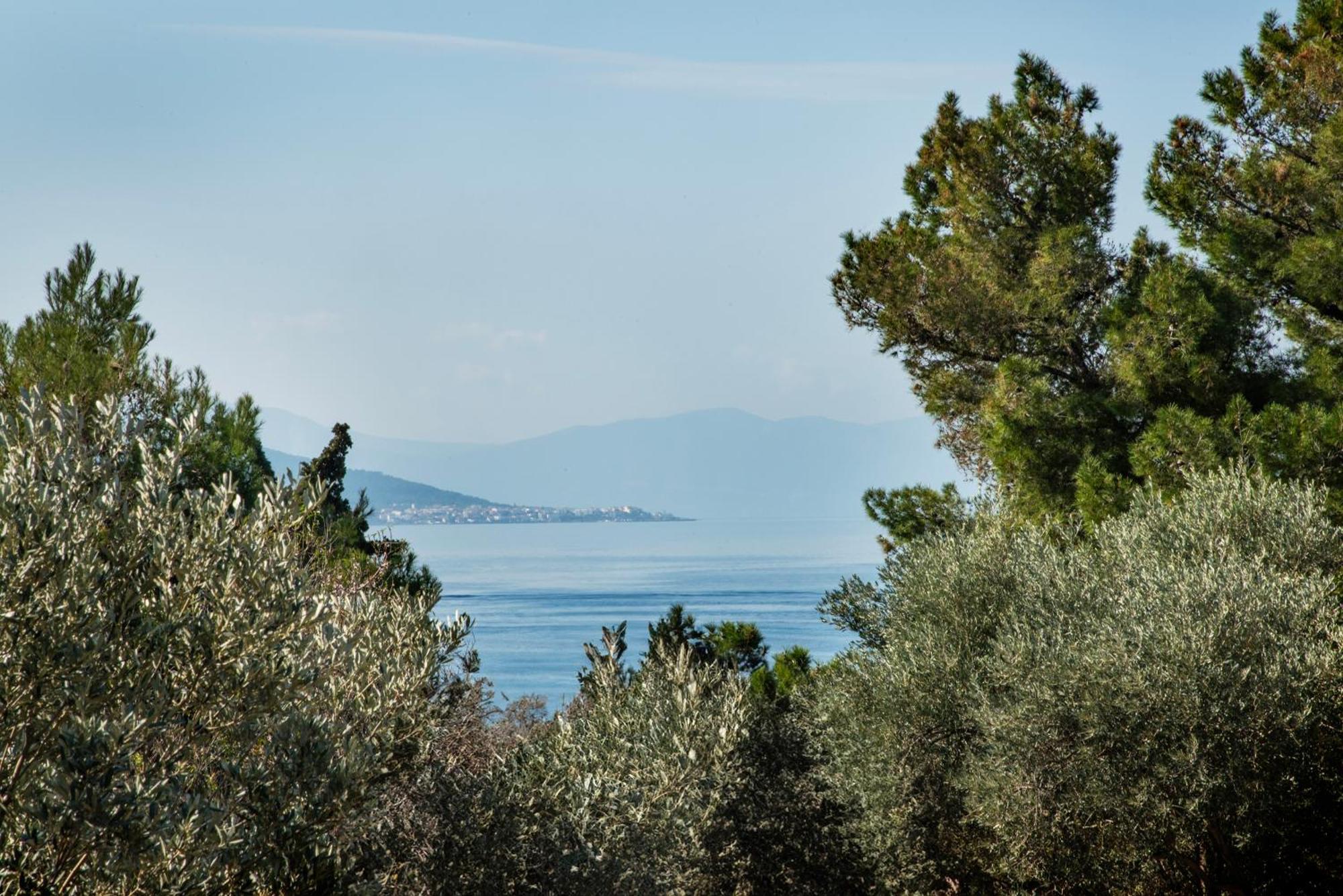 Pyrgos Ralli Estate Guesthouse Aegina Buitenkant foto